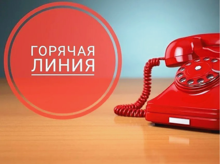 «Горячая линия» службы занятости населения. «Горячая линия» службы занятости населения.